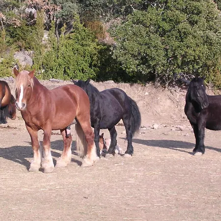 לינה וארוחת בוקר Massia Gasset Senterada